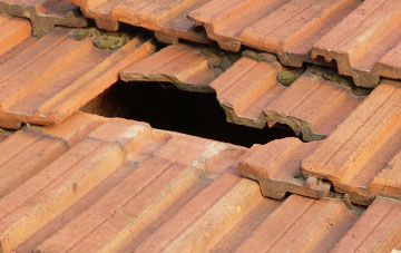 roof repair Long Bank, Worcestershire